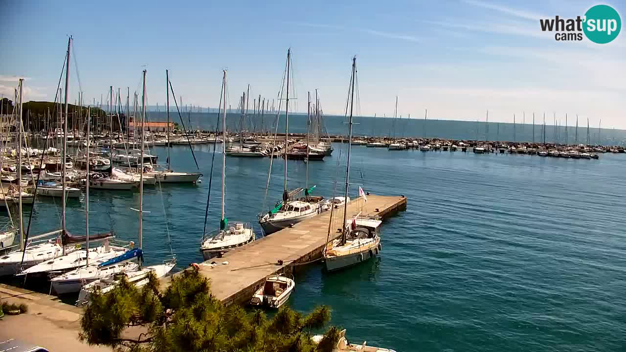 Webcam Sistiana – Vista sulla marina e sulla baia