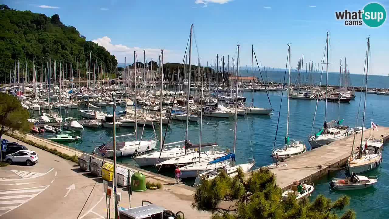 Webcam Sistiana – Vista sulla marina e sulla baia