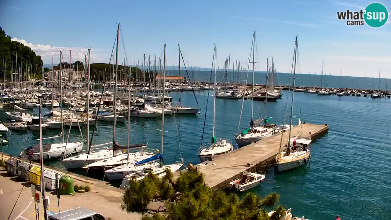 Webcam Sistiana – Marina and Bay Live View