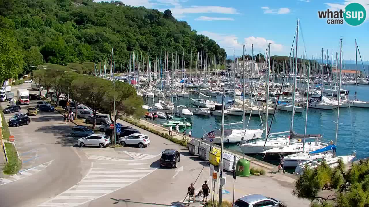 Spletna kamera Sesljan (Sistiana) – Pogled na marino in zaliv