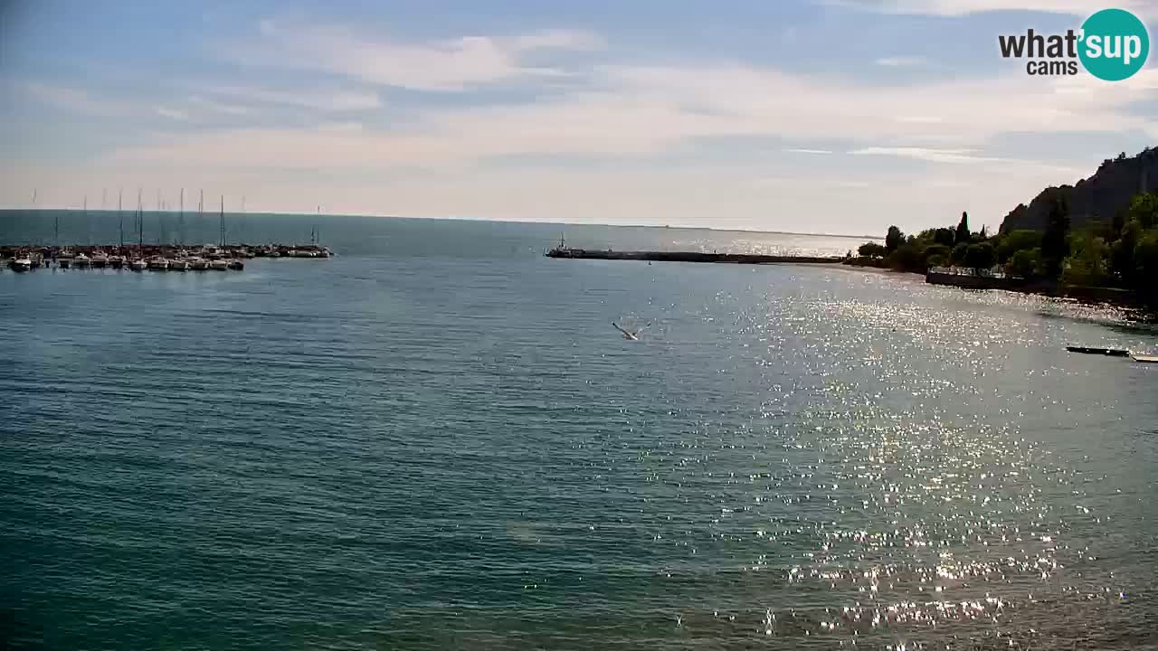 Webcam Sistiana – Vue sur la marina et la baie