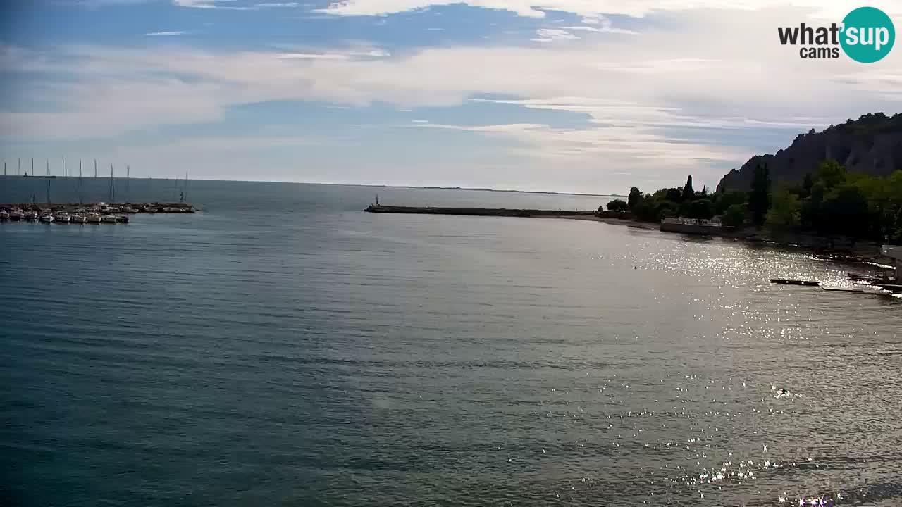 Webcam Sistiana – Pogled na marinu i zaljev