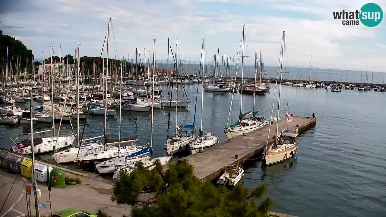 Webcam Sistiana – Marina and Bay Live View