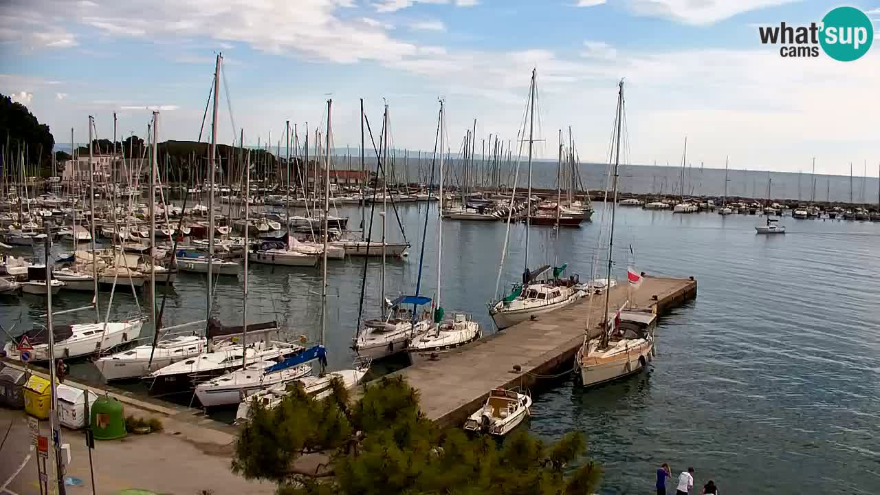 Webcam Sistiana – Marina and Bay Live View