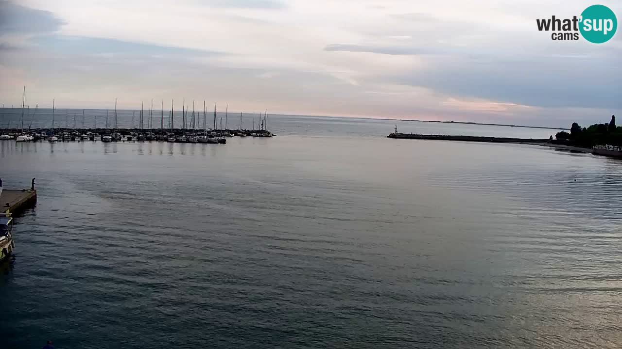 Webcam Sistiana – Marina and Bay Live View