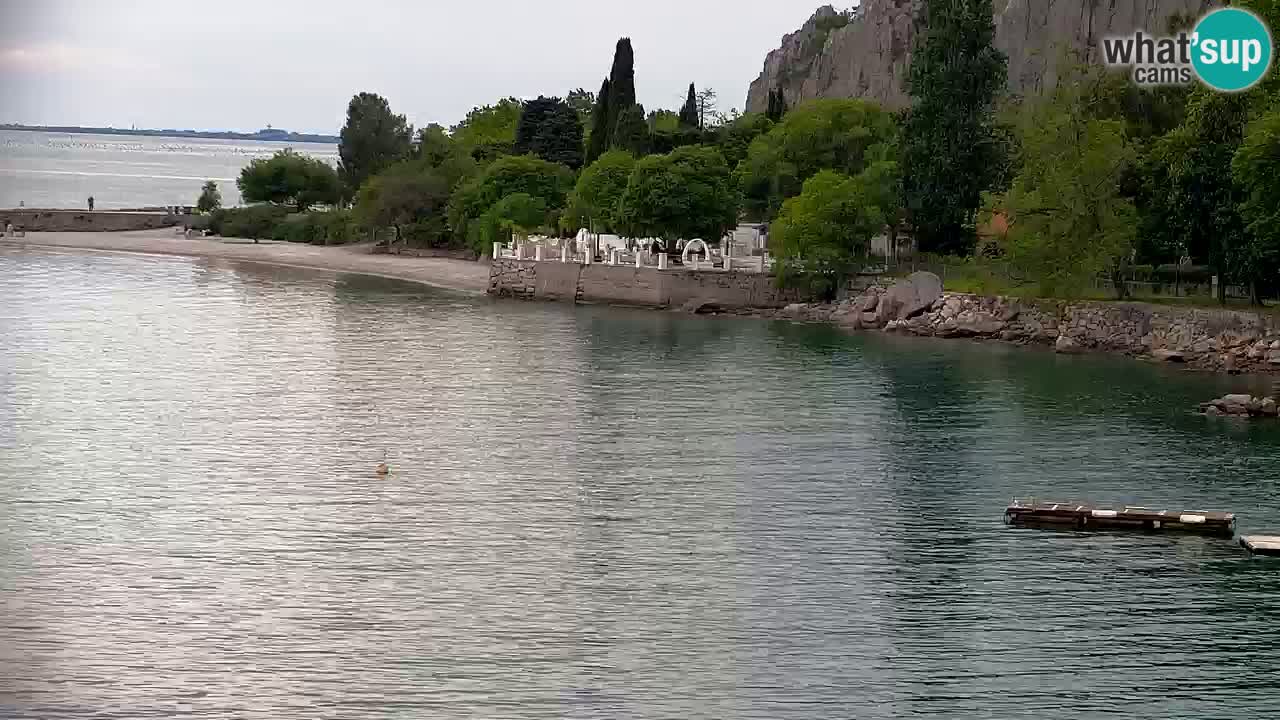 Spletna kamera Sesljan (Sistiana) – Pogled na marino in zaliv