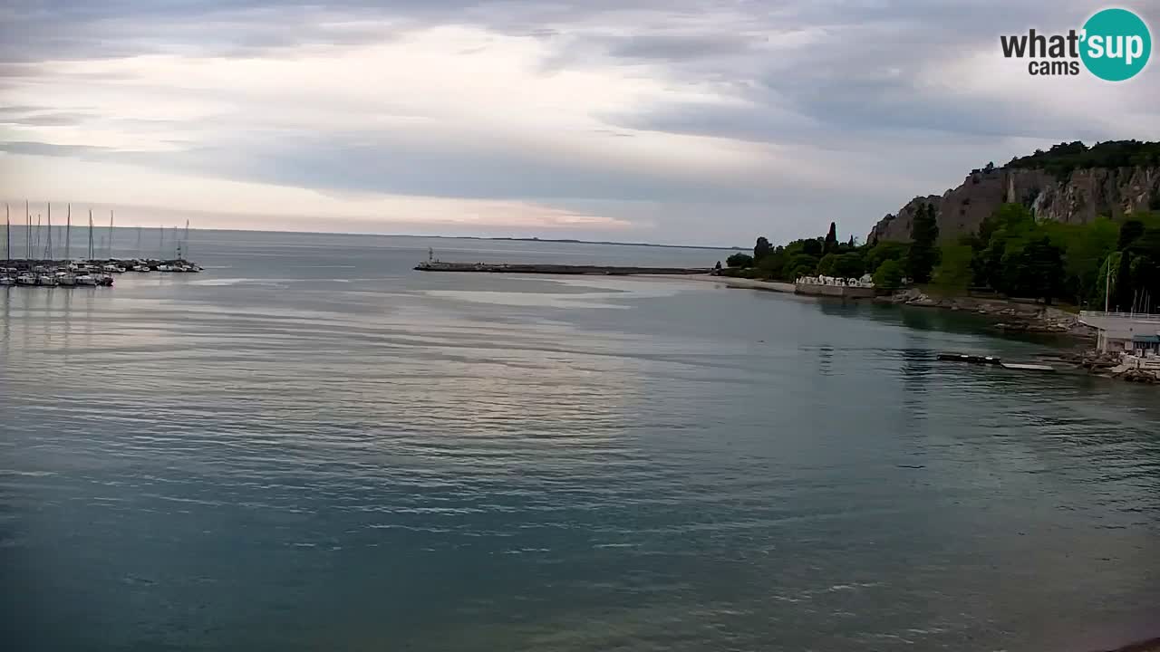 Webcam Sistiana – Marina and Bay Live View