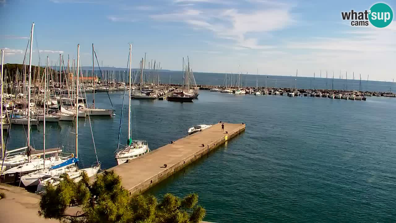 Webcam Sistiana – Vista sulla marina e sulla baia