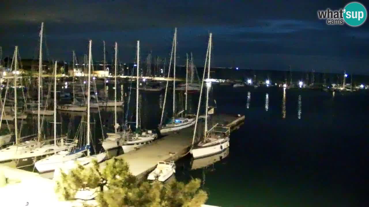 Webcam Sistiana – Vista sulla marina e sulla baia