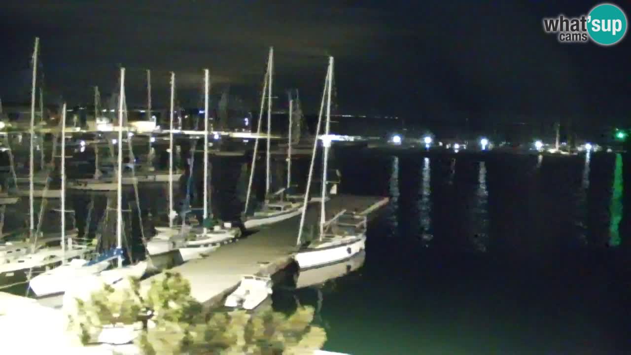 Webcam Sistiana – Pogled na marinu i zaljev