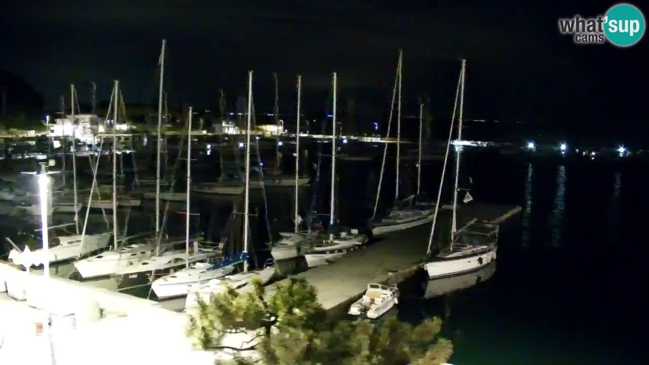 Spletna kamera Sesljan (Sistiana) – Pogled na marino in zaliv