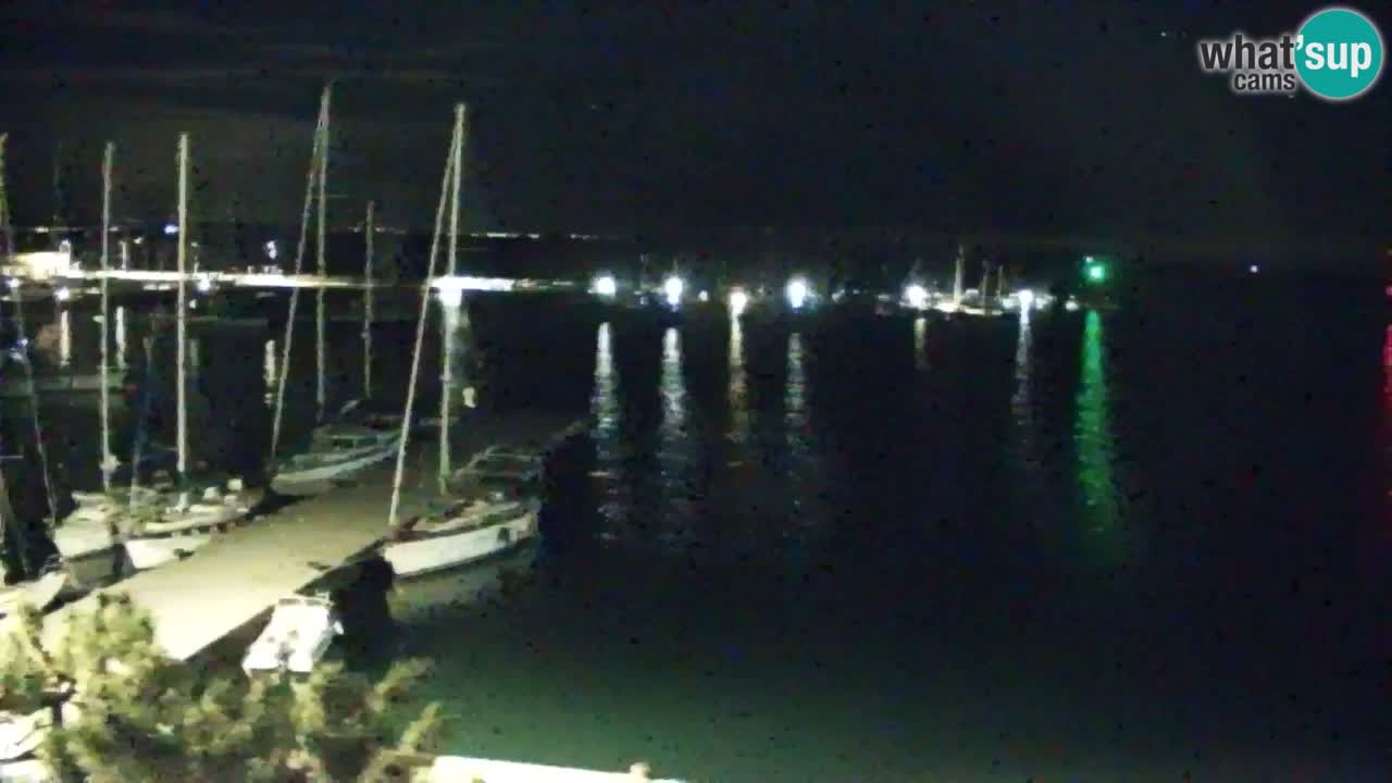 Webcam Sistiana – Marina and Bay Live View