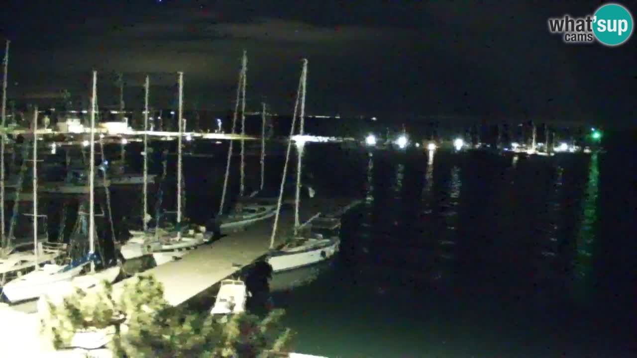 Webcam Sistiana – Marina and Bay Live View