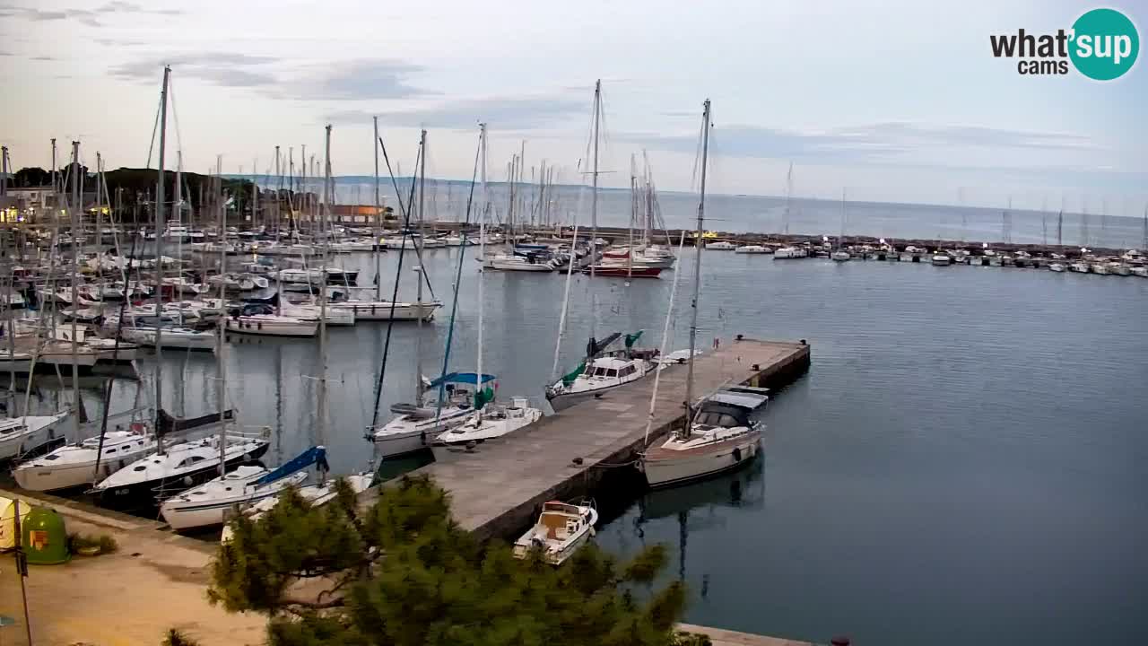 Webcam Sistiana – Vista sobre la marina y la bahía