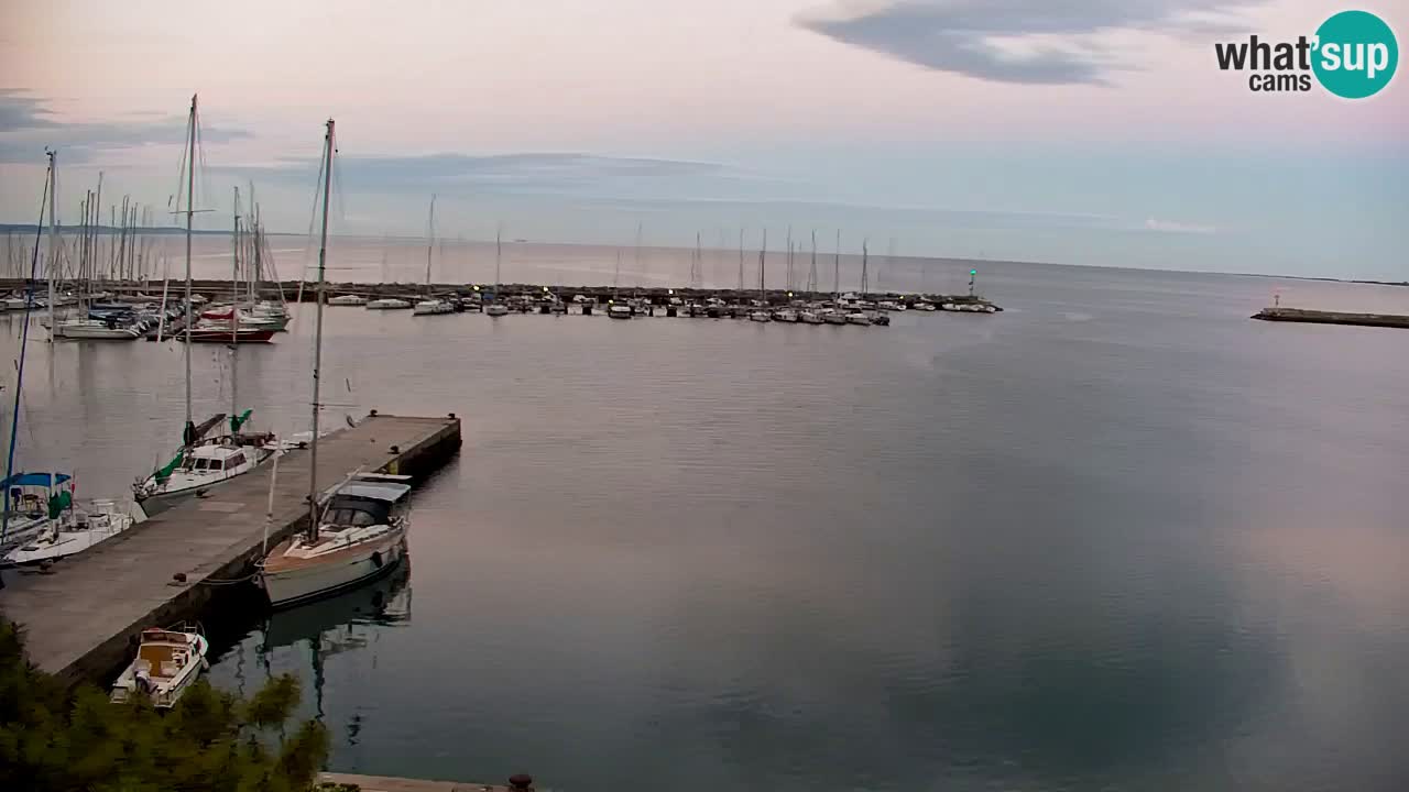 Webcam Sistiana – Marina and Bay Live View