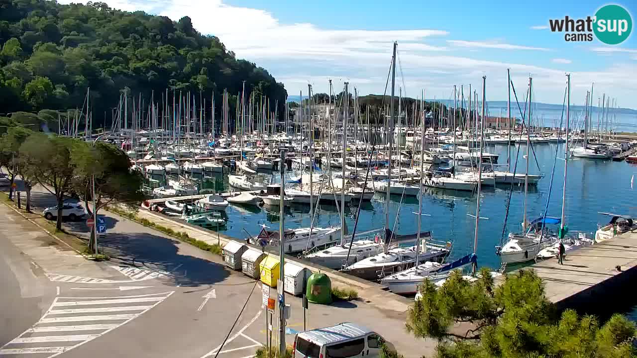 Webcam Sistiana – Marina and Bay Live View