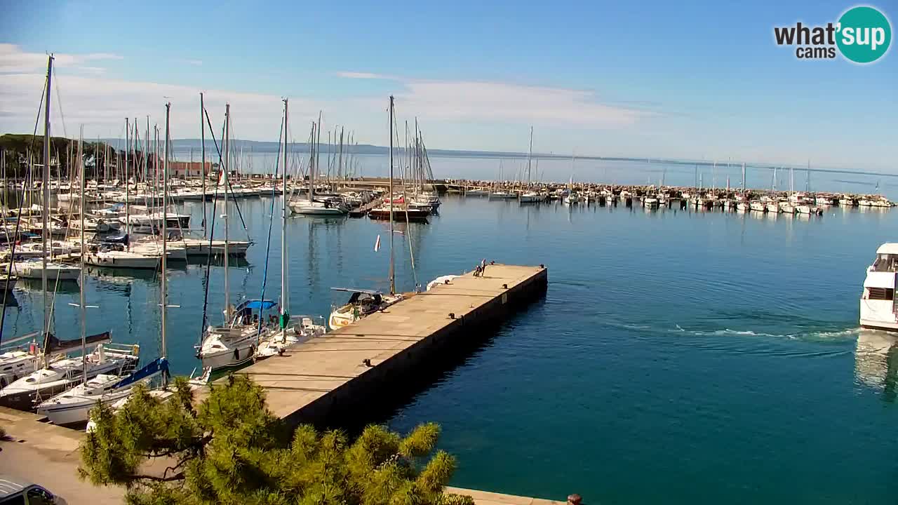 Webcam Sistiana – Vista sobre la marina y la bahía