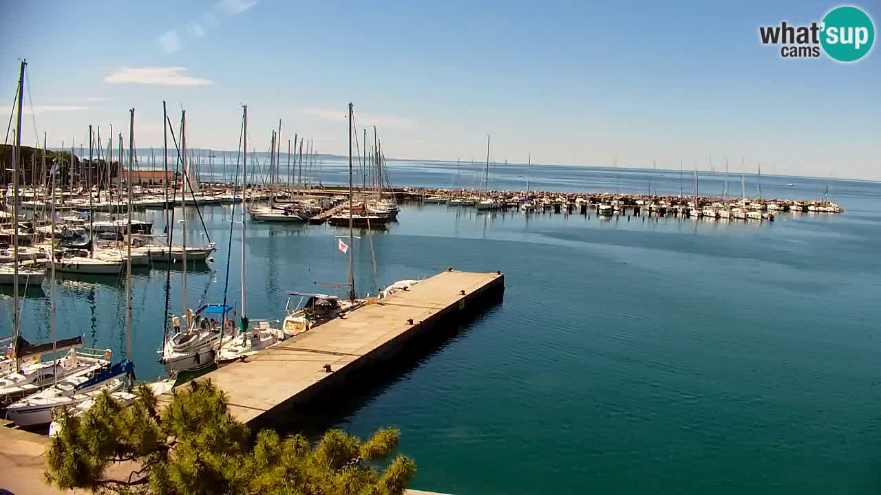 Webcam Sistiana – Vista sulla marina e sulla baia