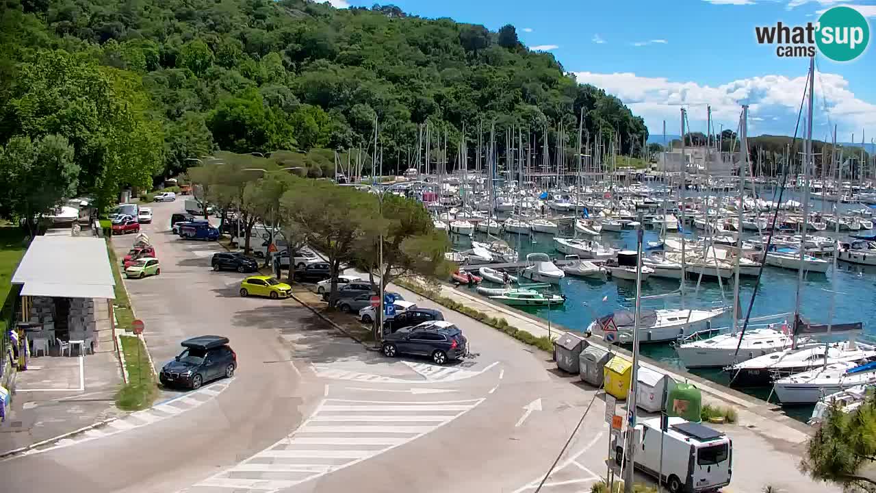 Webcam Sistiana – Pogled na marinu i zaljev