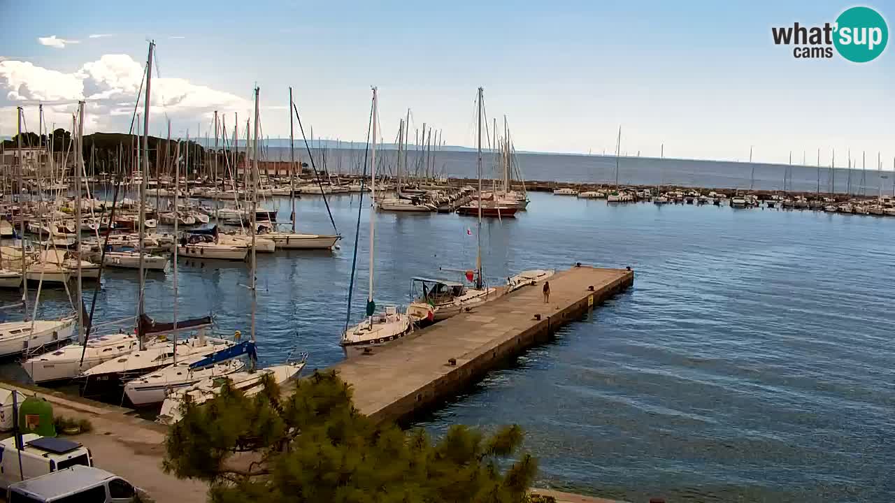 Webcam Sistiana – Marina and Bay Live View