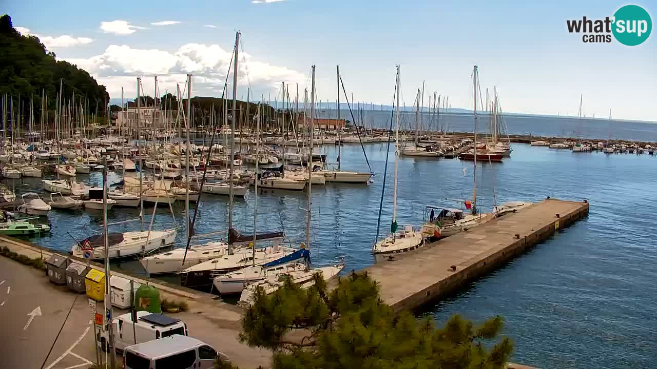 Webcam Sistiana – Marina and Bay Live View