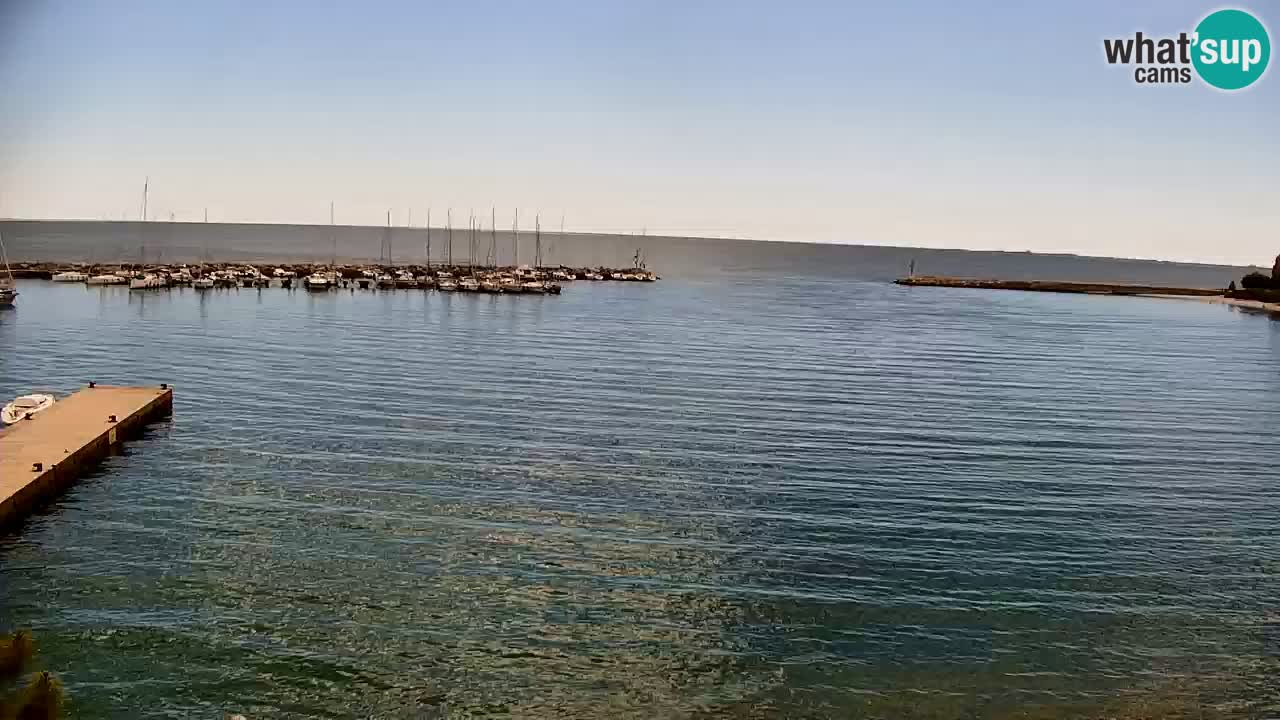 Webcam Sistiana – Marina and Bay Live View