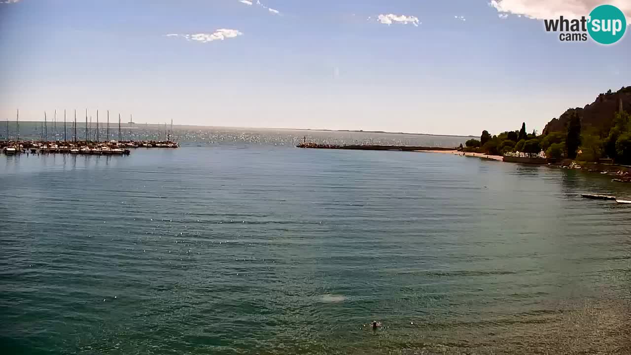 Webcam Sistiana – Marina and Bay Live View