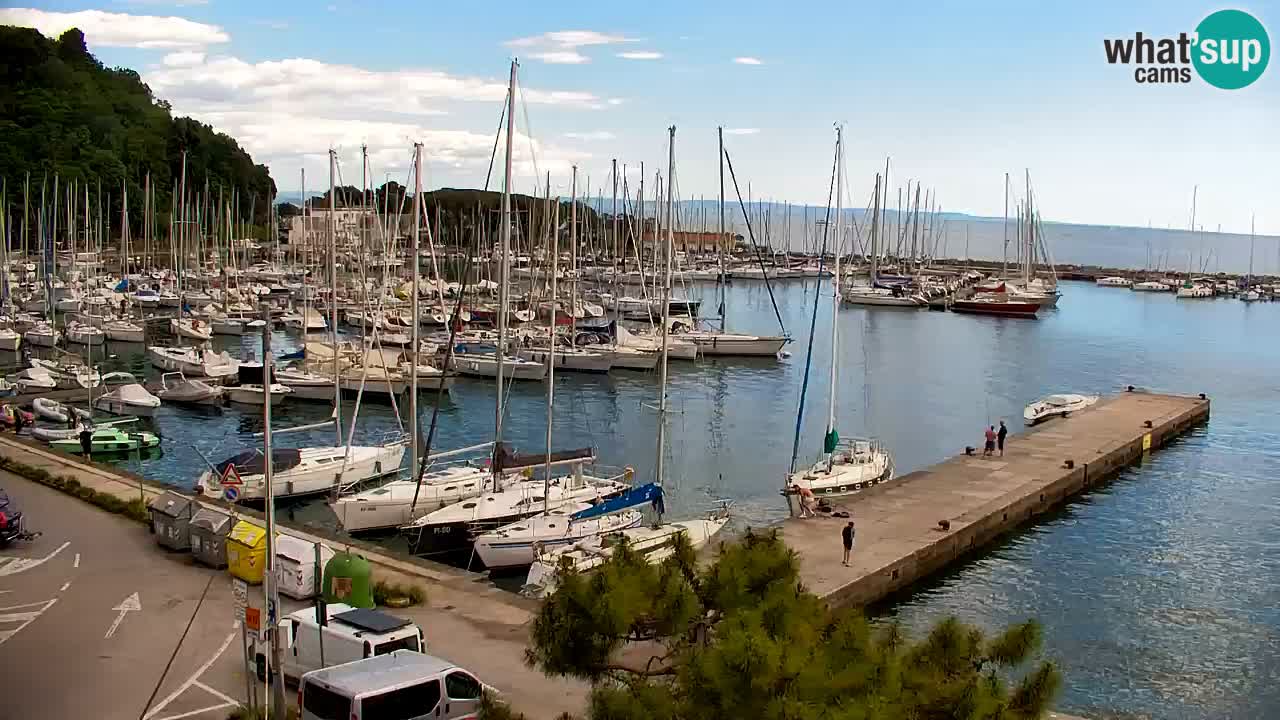 Webcam Sistiana – Marina and Bay Live View