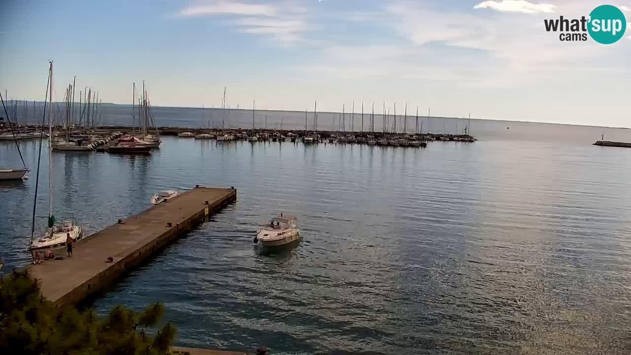 Webcam Sistiana – Marina and Bay Live View