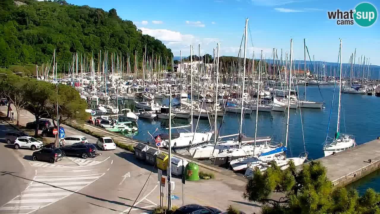 Webcam Sistiana – Pogled na marinu i zaljev