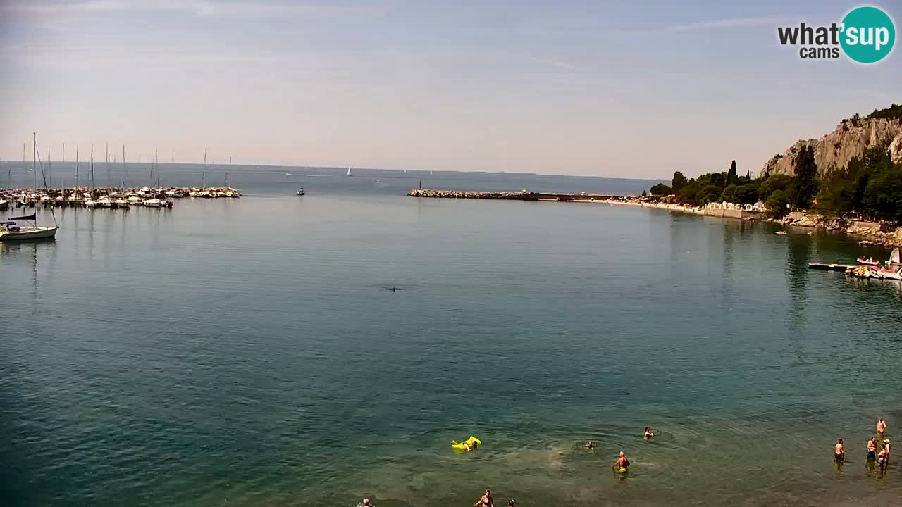 Spletna kamera Sesljan (Sistiana) – Pogled na marino in zaliv