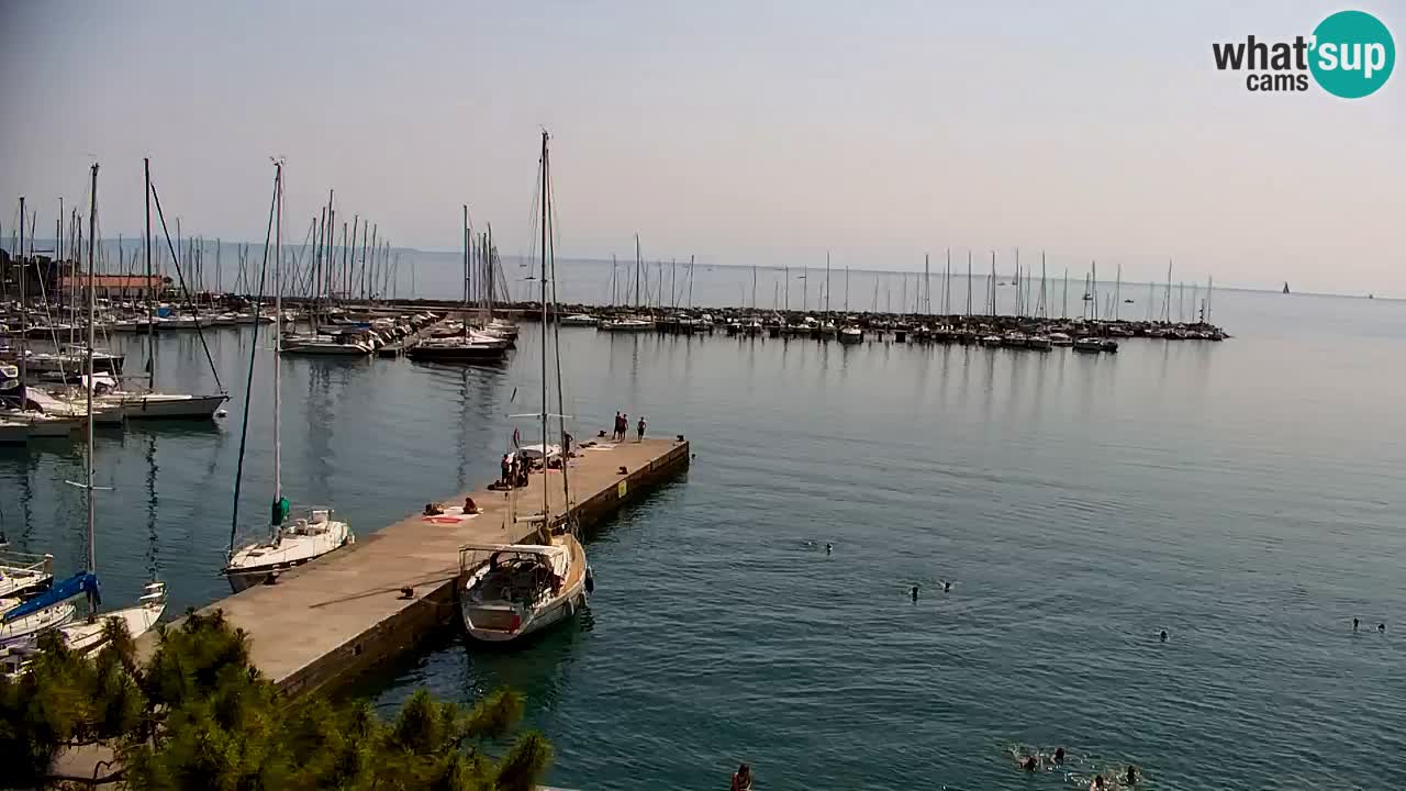 Webcam Sistiana – Vista sobre la marina y la bahía
