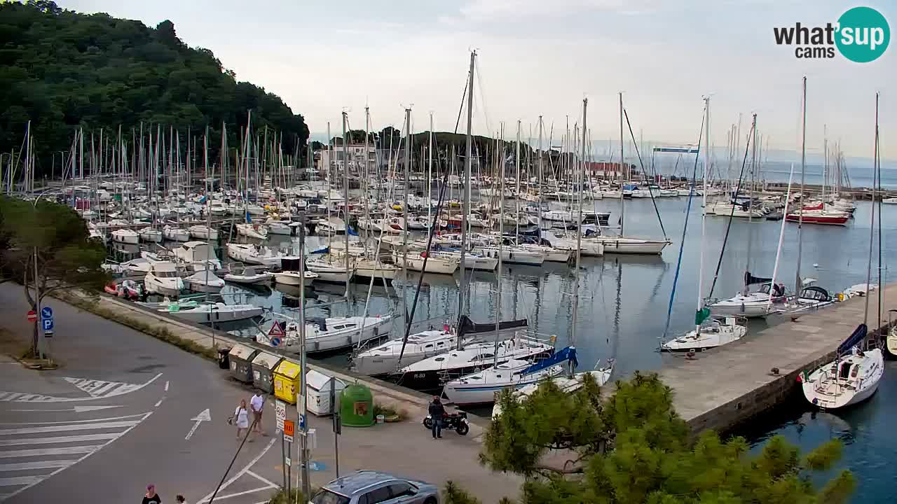 Spletna kamera Sesljan (Sistiana) – Pogled na marino in zaliv