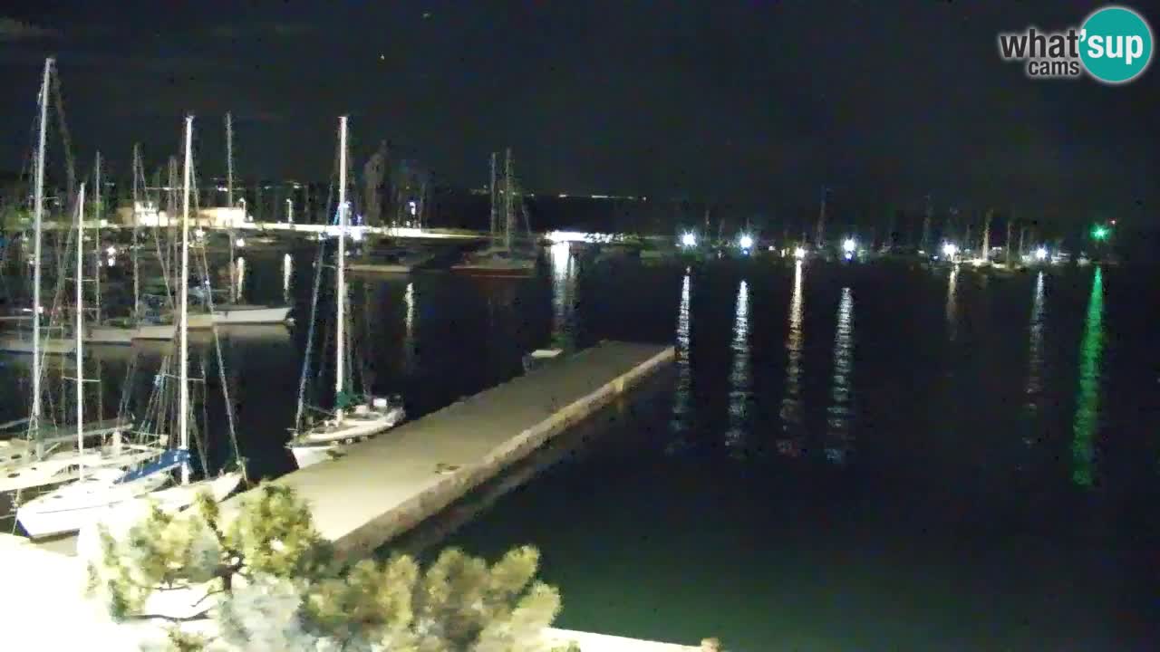 Webcam Sistiana – Marina and Bay Live View