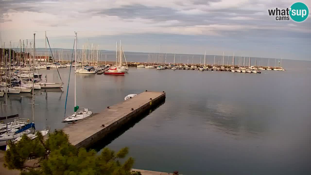 Webcam Sistiana – Marina and Bay Live View