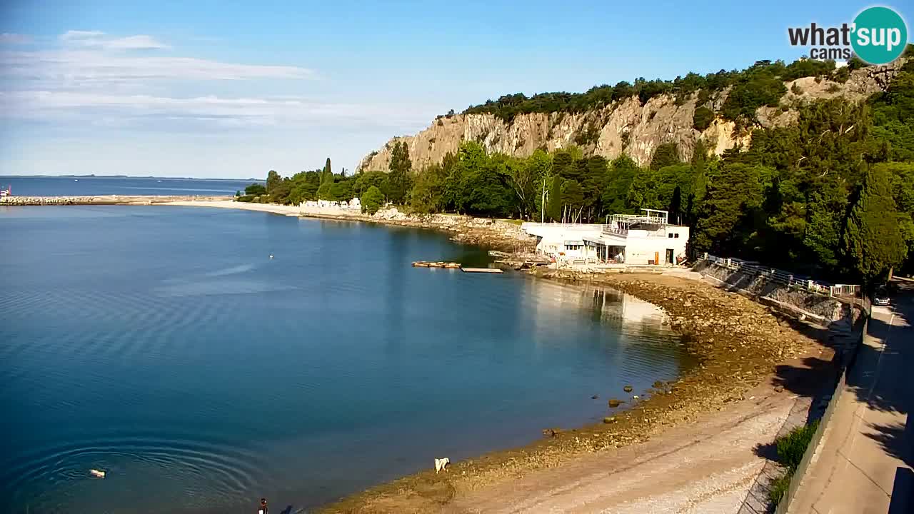 Webcam Sistiana – Marina and Bay Live View