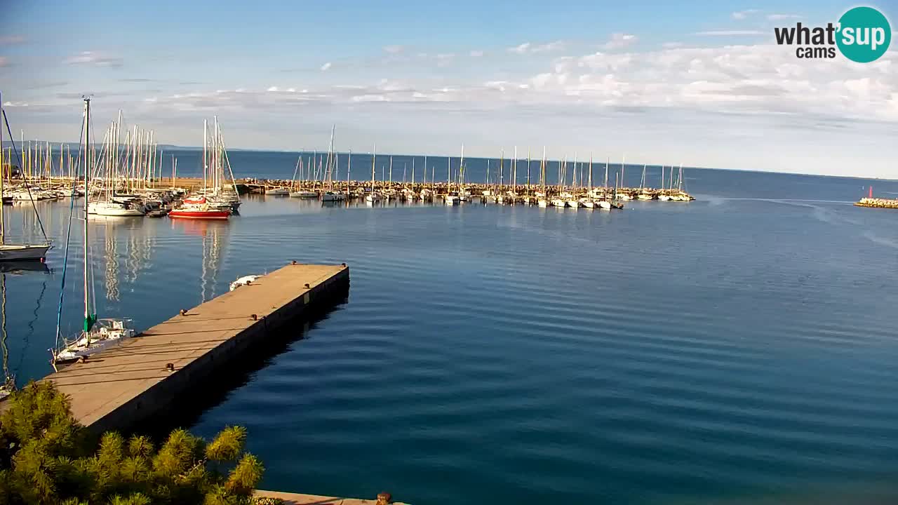 Webcam Sistiana – Pogled na marinu i zaljev