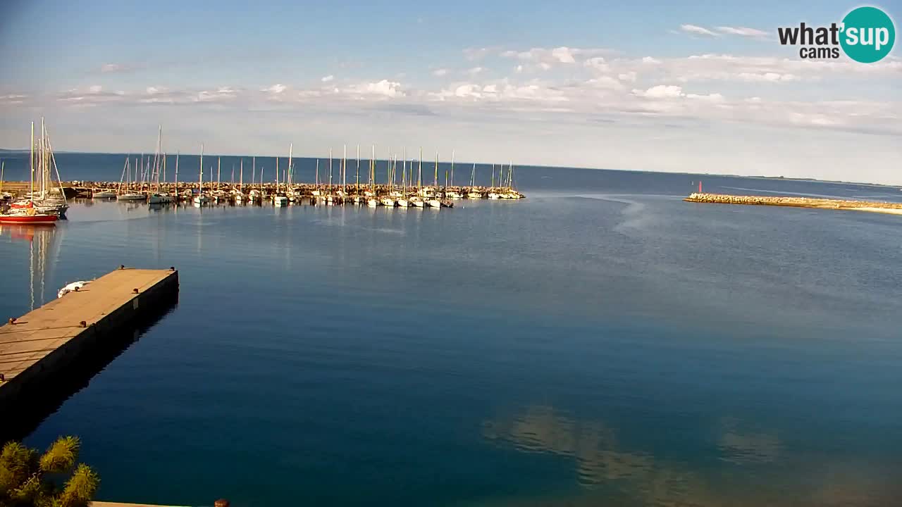 Webcam Sistiana – Marina and Bay Live View