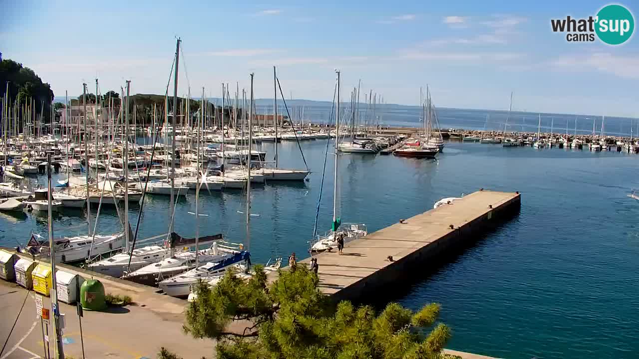 Webcam Sistiana – Vista sulla marina e sulla baia