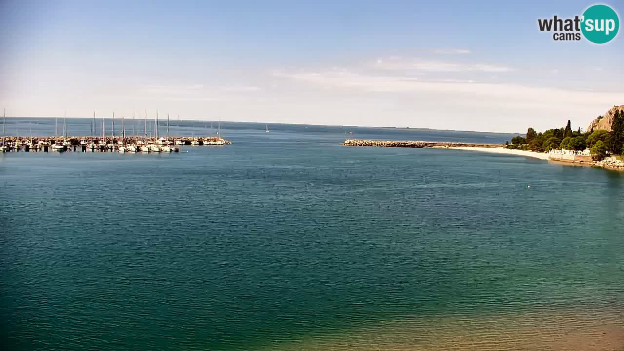 Spletna kamera Sesljan (Sistiana) – Pogled na marino in zaliv