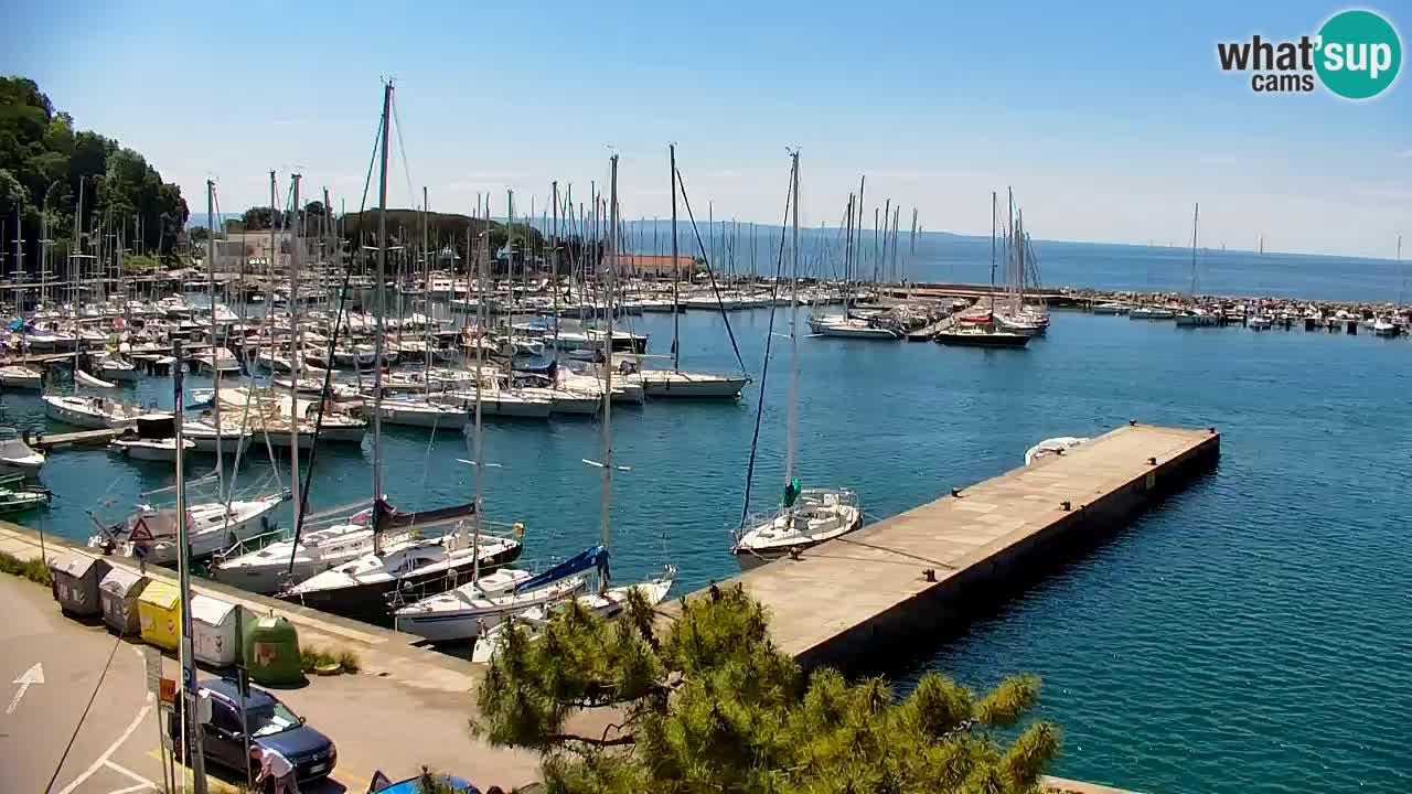 Webcam Sistiana – Marina and Bay Live View