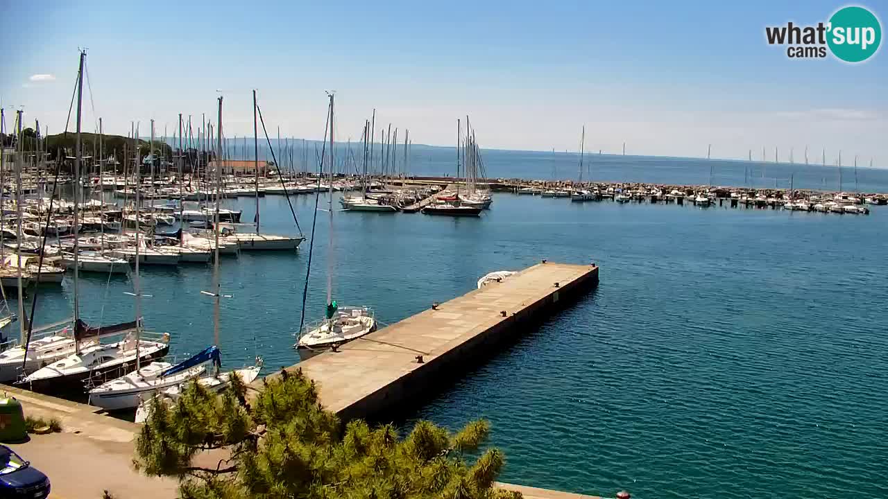Webcam Sistiana – Vista sulla marina e sulla baia