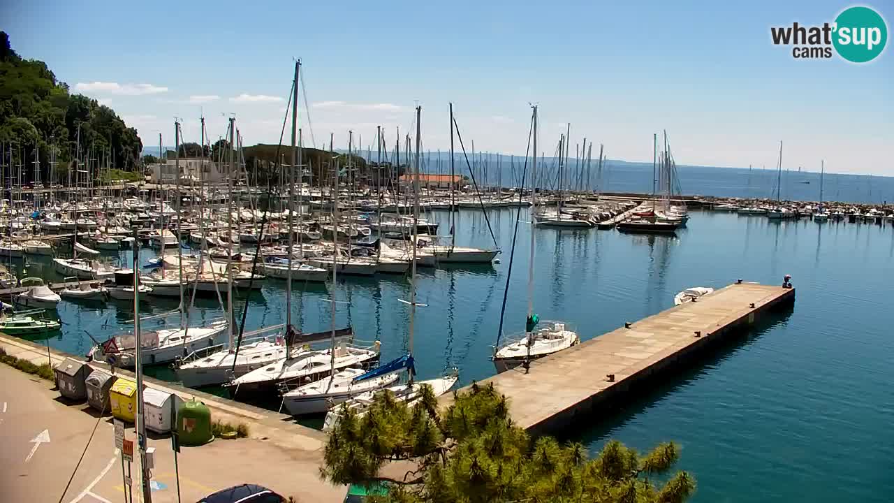Webcam Sistiana – Pogled na marinu i zaljev