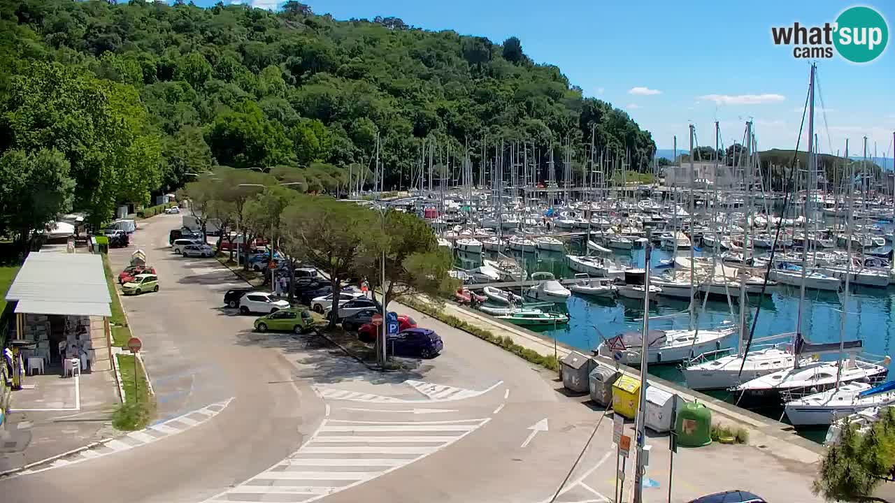 Webcam Sistiana – Pogled na marinu i zaljev