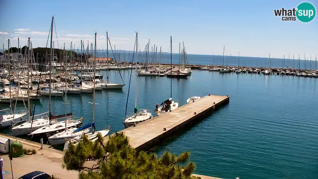 Spletna kamera Sesljan (Sistiana) – Pogled na marino in zaliv