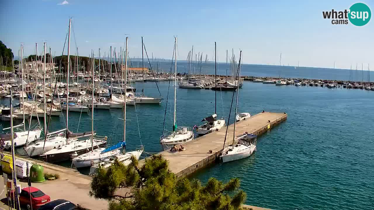 Webcam Sistiana – Vista sulla marina e sulla baia