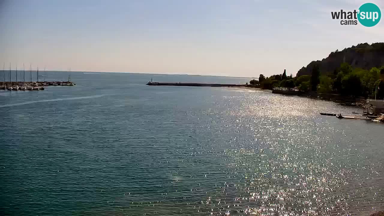 Webcam Sistiana – Marina and Bay Live View