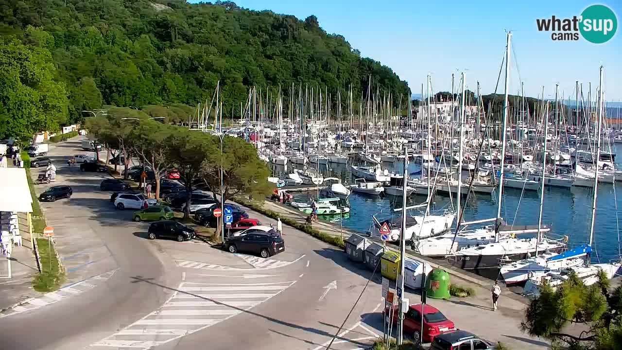Webcam Sistiana – Marina and Bay Live View