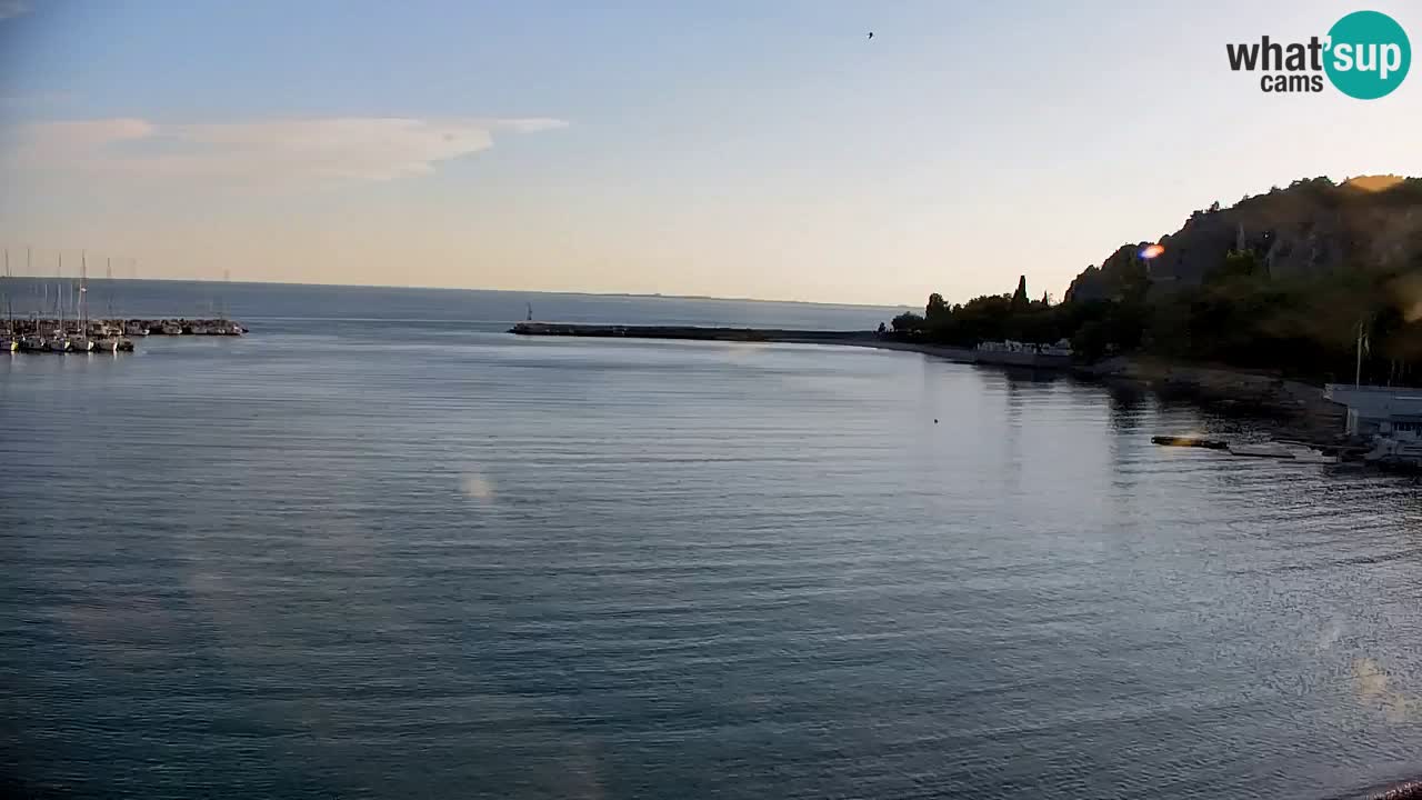 Webcam Sistiana – Pogled na marinu i zaljev