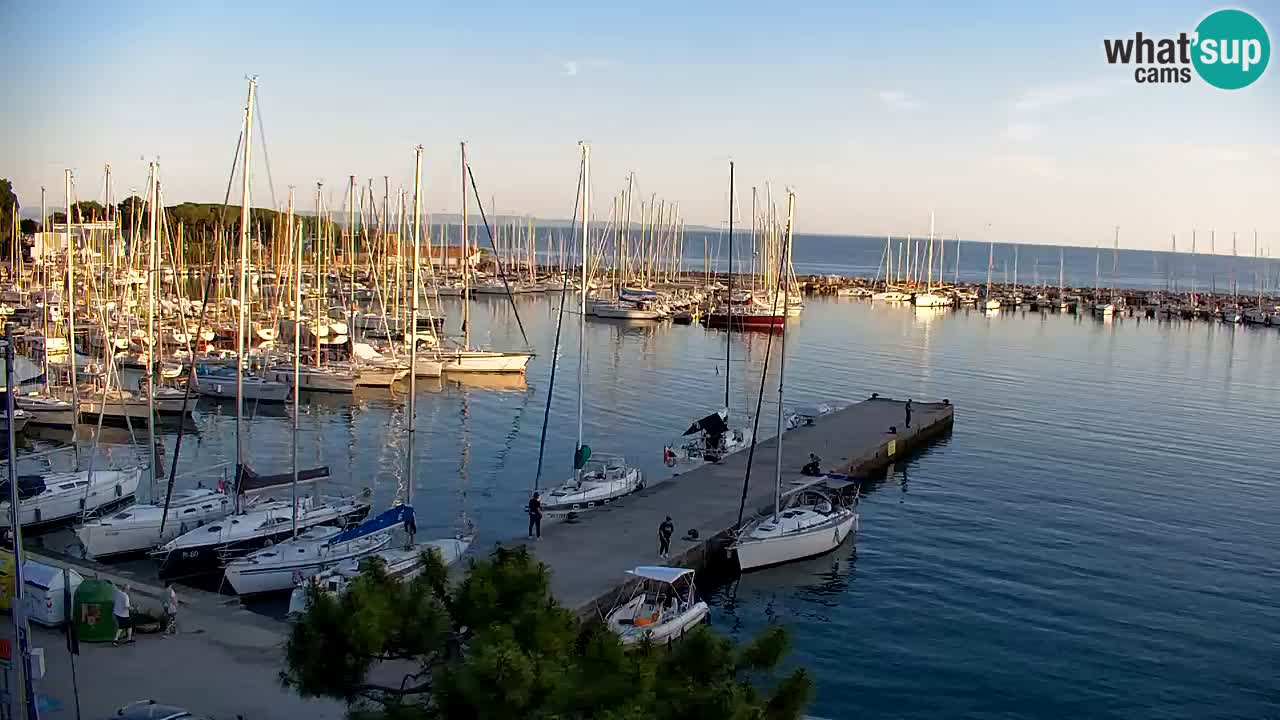 Webcam Sistiana – Marina and Bay Live View